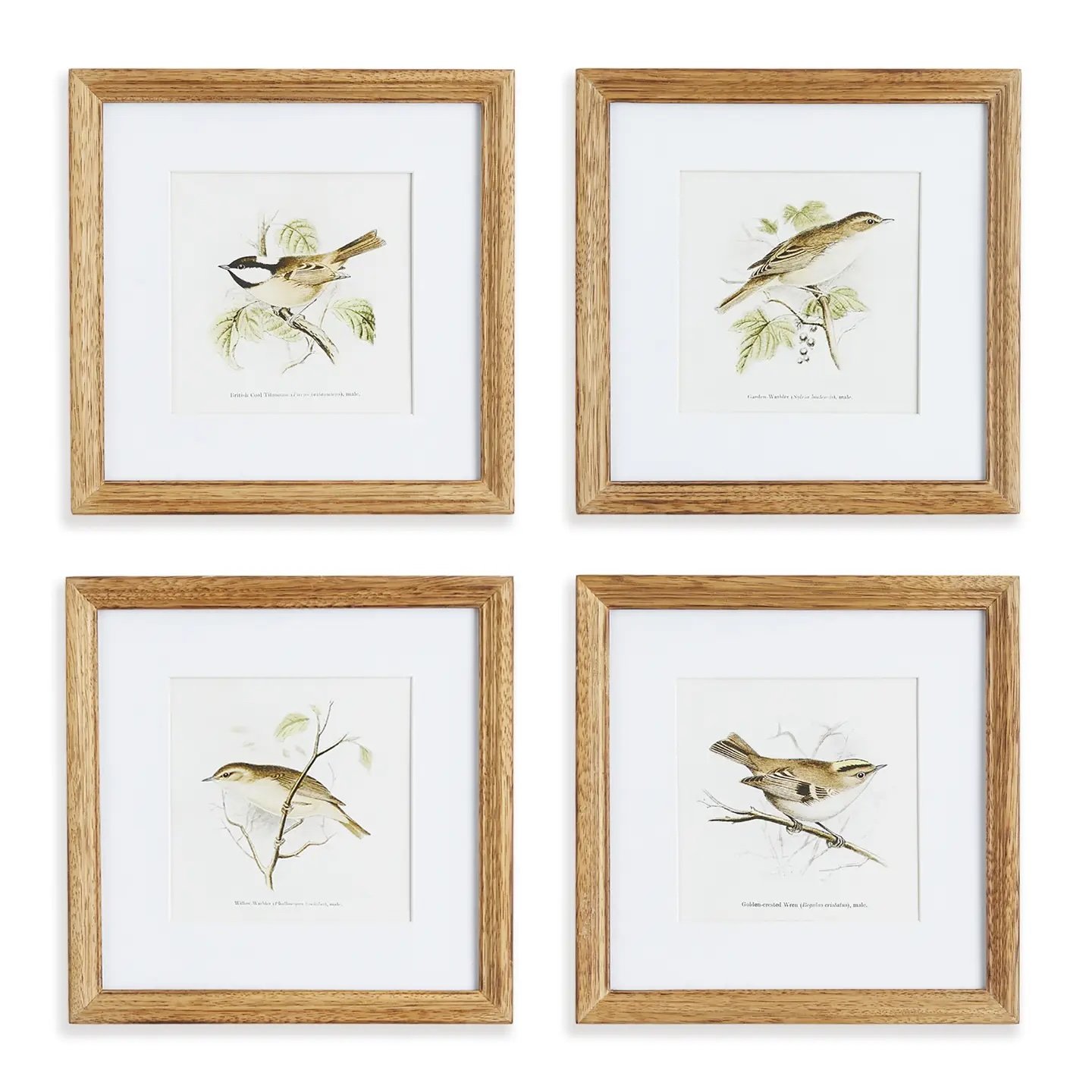 Perching Bird Study (set of 4), curated home decor from Gina Lauren Interiors Curations Studio