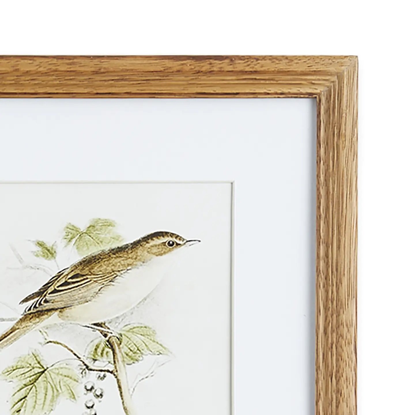 Perching Bird Study (set of 4) view 3, Gina Lauren Interiors Curations Studio
